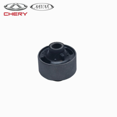 قیمت و خرید بوش عقبی طبق جلو تیگو 5-X33-X3N - آساک چین یدک
